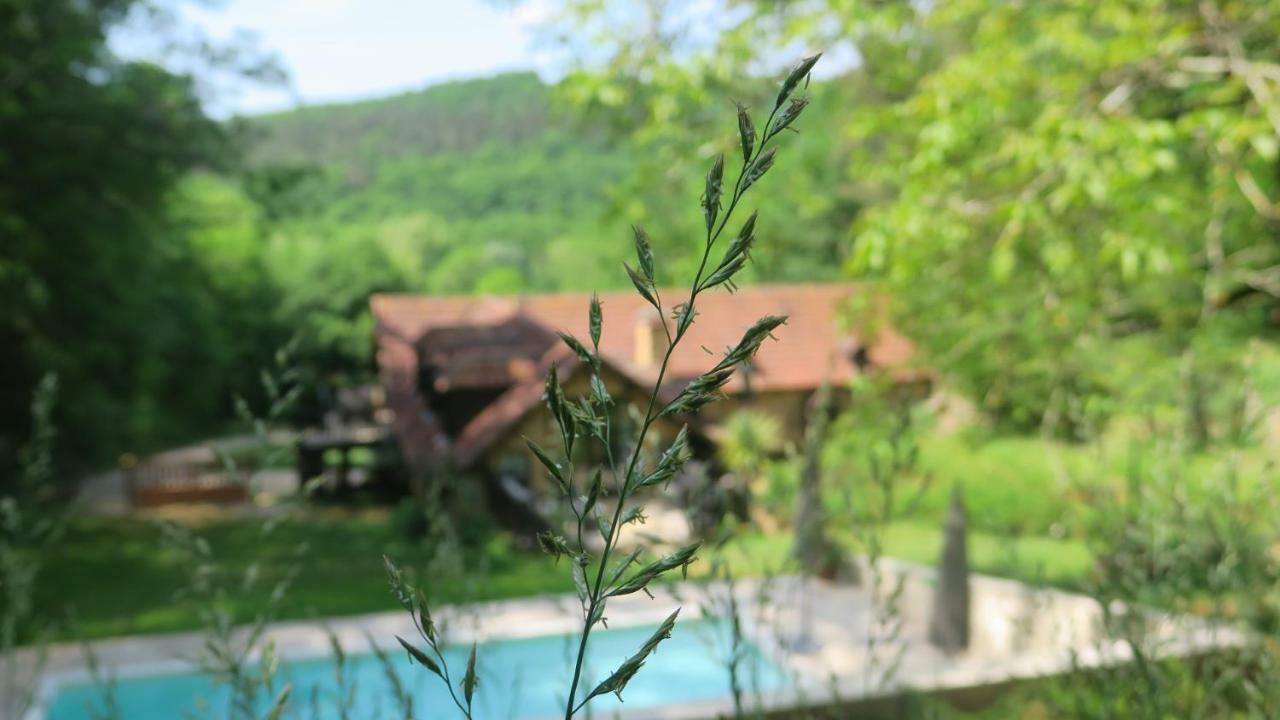 Le Coustal Villa Auriac-du-Périgord Buitenkant foto